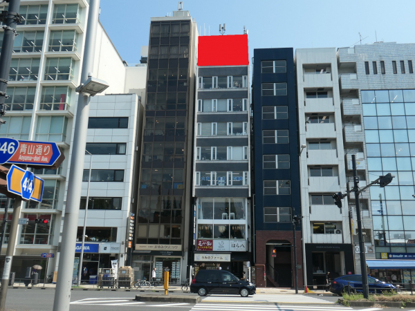 神宮外苑いちょう並木通り歩行者・車両から視認